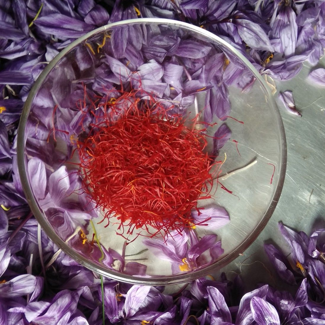 Velvet Lacha Kesar Strands